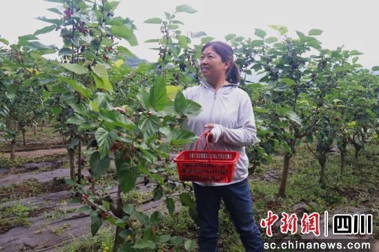 丝绸.jpg