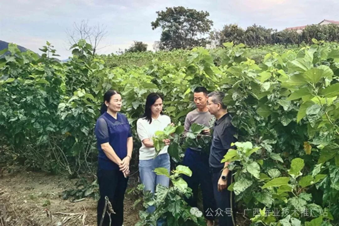 1761787686412871.jpg 1.jpg