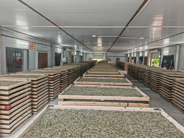 1762329257578891.jpg 11.jpg