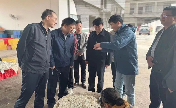 1762996958709041.jpg 1.jpg