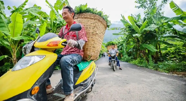 1763534277122722.jpg 3.jpg