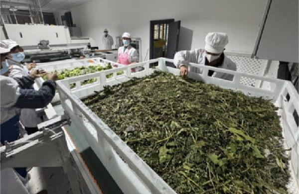 1765354798524853.png 60082208-dca6-4ce3-a161-5c9194d2c5e7.png