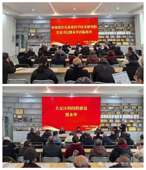 1766638326615208.png c0c31c03-ebb7-49c6-a16a-f536ad3fe0fb.png