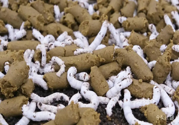 1769666652221572.png abd9d015-db11-4c49-a2ab-d351752d4152.png