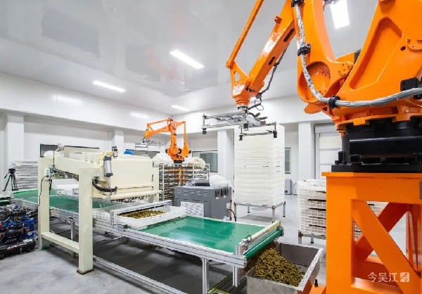 1769666666539300.png a8124003-f227-4659-bf5b-cbbc7ffeddc0.png