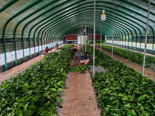 1770775654506712.png 34685377-60ce-4b63-bcf5-e08ef206fef1.png