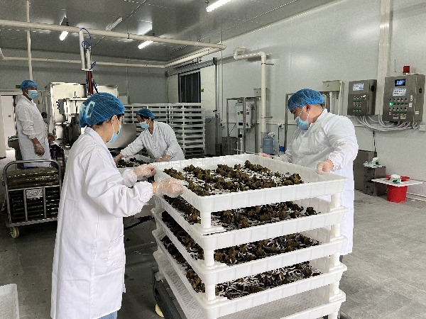 1770775688970320.png 08fa942d-d99a-4da9-9ac7-51989d7a3cbc.png