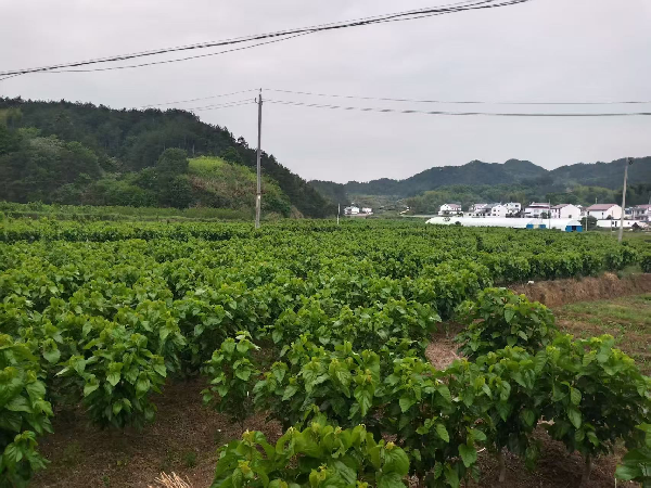 1770775731960430.png 17721c19-4f5a-402d-b16e-ac8f4dc357ac.png