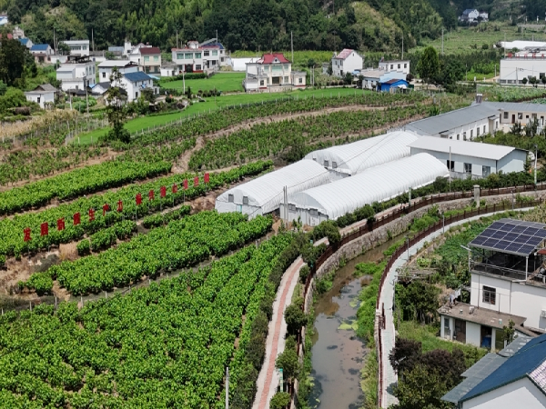 1770775761819559.png 8d17c03d-e3f3-41cd-b13d-4550f2dcb7ed.png