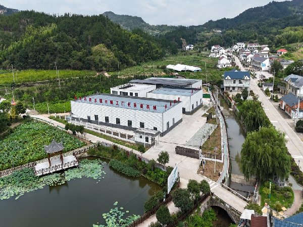 1770775780354810.png 9124280c-eb5f-4448-bfd4-2e2bd8220722.png