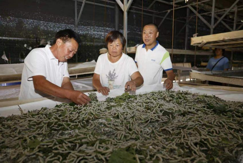 15a0ea62-8544-4520-9a79-64e7af320e2c.png